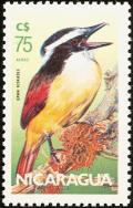 Colnect-4563-937-Great-Kiskadee-Pitangus-sulphuratus.jpg