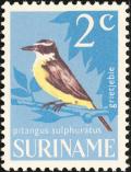 Colnect-993-996-Great-Kiskadee-Pitangus-sulphuratus.jpg