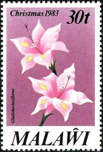 Colnect-6026-357-Gladiolus-laxiflorus.jpg