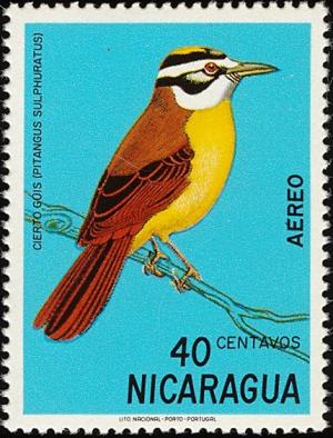 Colnect-1625-995-Great-Kiskadee-Pitangus-sulphuratus.jpg