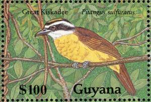 Colnect-1664-169-Great-Kiskadee-Pitangus-sulphuratus.jpg