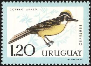 Colnect-4233-197-Great-Kiskadee-Pitangus-sulphuratus.jpg