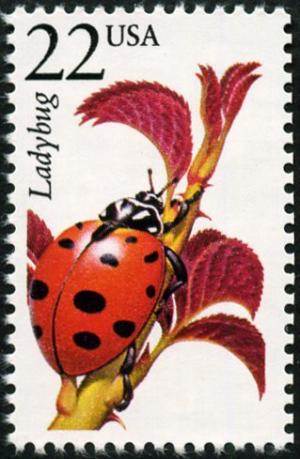 Colnect-5026-785-Convergent-Ladybug-Hippodamia-convergens.jpg