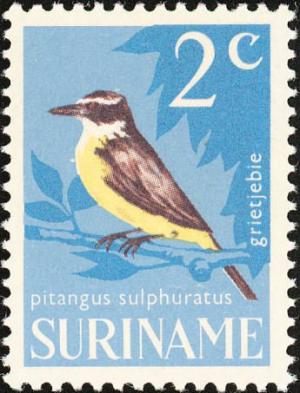 Colnect-993-996-Great-Kiskadee-Pitangus-sulphuratus.jpg