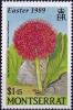 Colnect-3924-344-Scadoxus-multiflorus.jpg