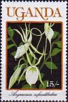 Colnect-4699-953-Angraecum-infundibulare.jpg