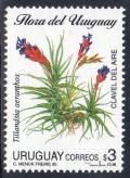 Colnect-1391-387-Tillandsia-aeranthos--clavel-del-aire-.jpg