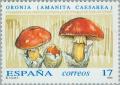 Colnect-178-918-Caesar-Mushroom-.jpg