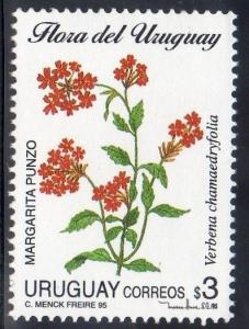 Colnect-1391-385-Verbena-chamaedryfolia--margarita-punzo-.jpg