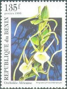 Colnect-732-638-Angraecum-Eichlerianum.jpg