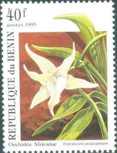 Colnect-732-634-Angraecum-Sesquipedale.jpg