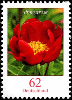 Colnect-5205-813-Paeonia-sp---Peony.jpg