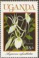 Colnect-2134-802-Angraecum-infundibulare.jpg