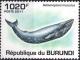 Colnect-4000-818-Balaenoptera-Musculus.jpg