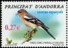 Colnect-2482-697-Common-Chaffinch-Fringilla-coelebs.jpg