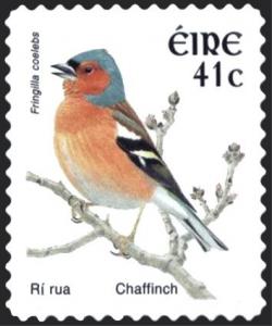 Colnect-1886-882-Common-Chaffinch-Fringilla-coelebs.jpg