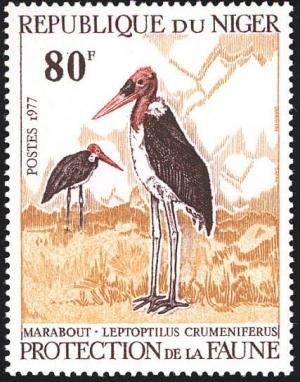 Colnect-3532-402-African-Marabou.jpg