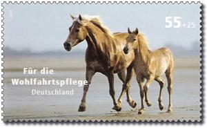 DPAG_2007_2631_Haflinger_Pferde.jpg