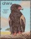 Colnect-1459-782-Bateleur-Eagle-Terathopius-ecaudatus.jpg