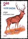 Colnect-2523-599-Kashmir-Stag-Cervus-elaphus-affinis-.jpg