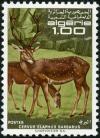 Colnect-2644-435-Barbary-Stag-Cervus-elaphus-barbarus.jpg