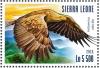 Colnect-3565-958-White-tailed-Eagle%C2%A0-%C2%A0Haliaeetus-albicilla.jpg