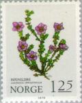 Colnect-161-968-Purple-Saxifrage-Saxifraga-oppositifolia.jpg