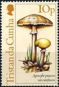 Colnect-2897-406-Agrocybe-praecox.jpg