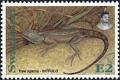 Colnect-5829-659-Southern-Tree-Agama-Acanthocercus-atricollis.jpg