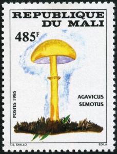 Colnect-2223-515-Agaricus-semotus.jpg