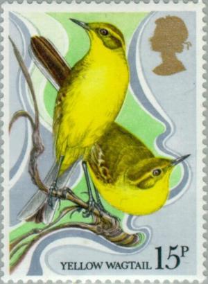 Colnect-122-157-Yellow-Wagtail-Motacilla-flava.jpg