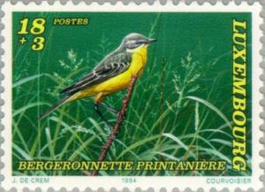 Colnect-134-915-Yellow-Wagtail-Motacilla-flava.jpg