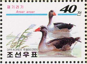 Colnect-1614-866-Greylag-Goose-Anser-anser.jpg