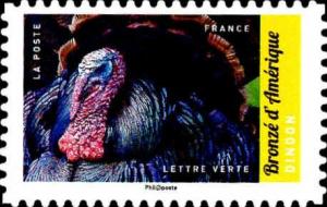 Colnect-4445-765-Turkey-Meleagris-gallopavo-f-domestica.jpg