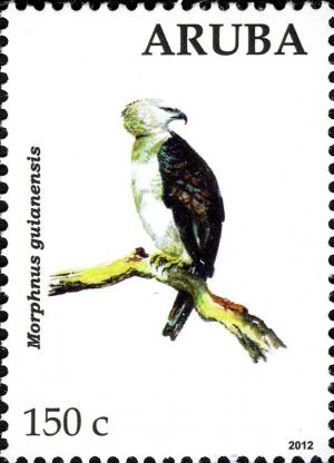 Colnect-5408-571-Crested-Eagle-Morphnus-guianensis.jpg