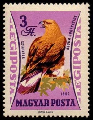 Colnect-812-696-Golden-Eagle-Aquila-chrysaetos.jpg