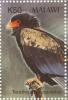 Colnect-6028-502-Bateleur-Eagle-Terathopius-ecaudatus.jpg