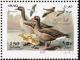 Colnect-1617-867-Greylag-Goose-Anser-anser.jpg