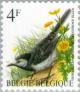 Colnect-186-758-White-Wagtail-Motacilla-alba.jpg