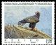 Colnect-310-112-Golden-Eagle-Aquila-chrysaetos.jpg