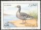 Colnect-4372-492-Greylag-Goose-Anser-anser.jpg