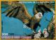 Colnect-4459-075-American-Bald-Eagle-Haliae%C3%ABtus-leucocephalus.jpg