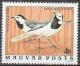 Colnect-584-881-White-wagtail-Motacilla-alba.jpg