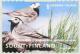 Colnect-603-454-White-Wagtail-Motacilla-alba.jpg