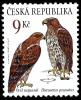 Colnect-3733-973-Booted-Eagle-Hieraaetus-pennatus.jpg