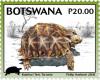 Colnect-5177-698-Kalahari-Tent-Tortoise.jpg