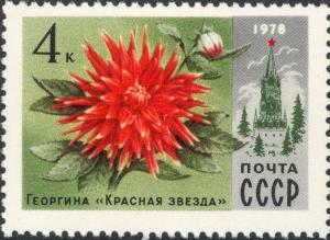 Colnect-2809-636-Dahlia--Red-Star-.jpg