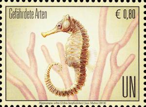 Colnect-5349-562-Zebra-seahorse-Hippocampus-zebra.jpg