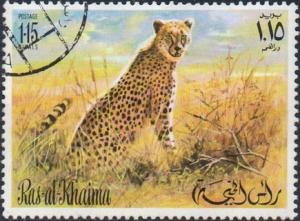 Colnect-978-717-Cheetah-Acinonyx-jubatus.jpg