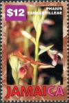 Colnect-5269-757-Phaius-tankervilleae.jpg